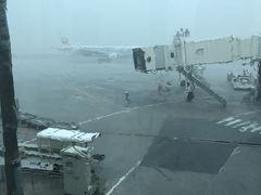 で、沖縄についたら大雨。
かなり雨風強い。
実は今回の旅行、ずっと雨と曇りの天気予報。
さて、どうなることやら。

なんと那覇空港で知り合いに会ってビックリ！
あちらは帰るところでした。
凄い偶然でした。