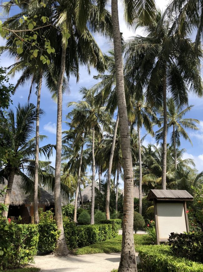 島内は手入れが行き届きゴミひとつ落ちていません