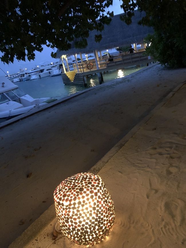 ナチュラルで可愛い貝殻ランプ