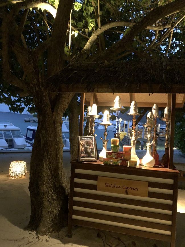 「シーシャ」？<br />アラビア風水タバコだそうです