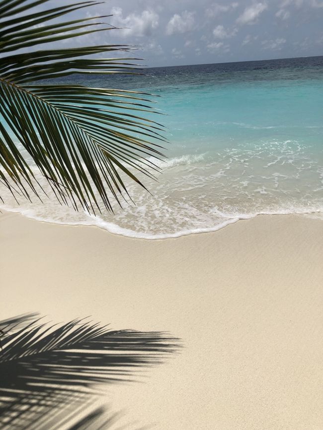 シビれる美しさ