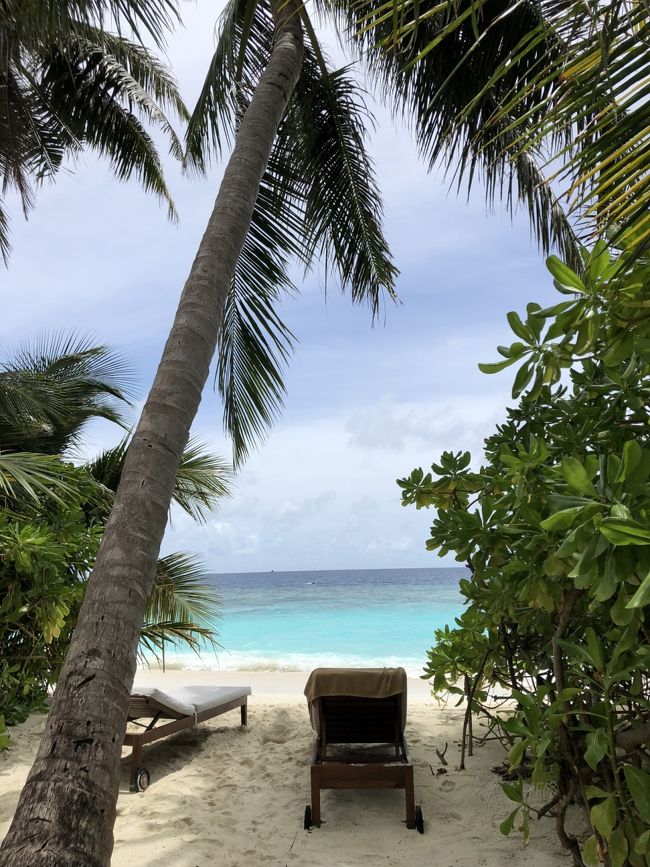 こうゆうプライベート区間が点在しているので場所取りには困りません