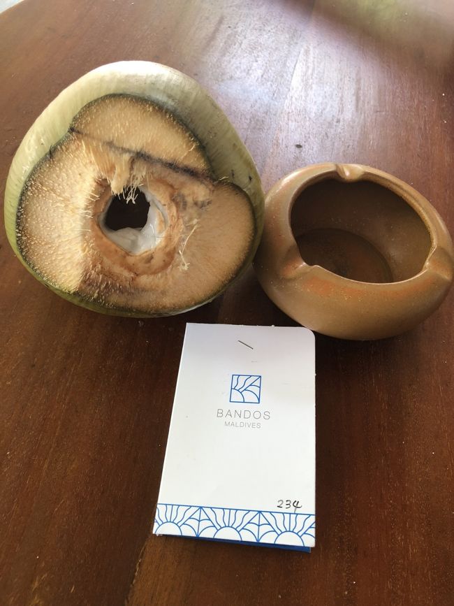 作業していたスタッフがヤシの実を割って持ってきてくれました。生ココナッツジュースです。