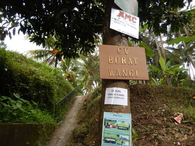  　クサンバを後にしてブラッドワンギへ。カンバン新しくなってた。<br /><br />　　ここで一年間使用する量を買う。<br /><br />　　結構重い。相方もお土産に買ってた。　