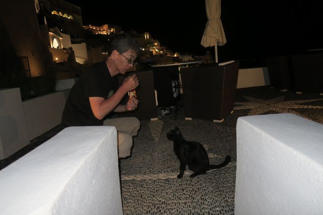 夜と朝と食事の時間を狙って、猫たちが遊びに来ます。