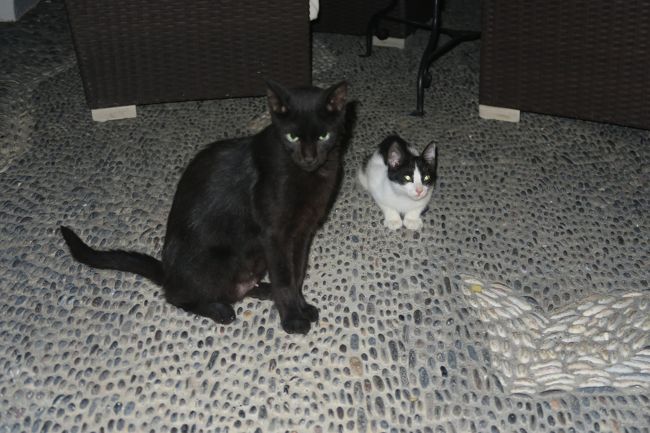 何かおねだりされている気分になります。