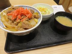 出国前最後の晩餐は・・・

ホントはラーメンにしたかったんだけど

大行列だったのでココ。