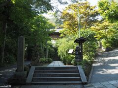 海蔵寺　参道

鎌倉の花の寺のひとつ。
一年を通じて花が楽しめます。