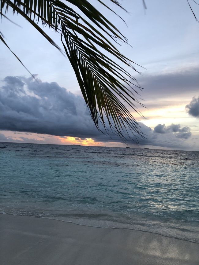 4泊したのでだいぶノンビリできました。<br />ショッピングや外食もないのでどっぷり海満喫。これがモルディブなんだよなぁ～