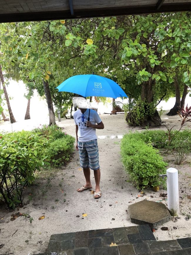 帰国日の朝は初めての雨。傘も素敵だったので撮影。