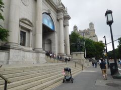 American Museum of Natural Historyの入り口です。