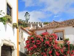 初秋のポルトガル、ちょこっとスペインを巡る　１２（ポルトガル編）　８日目　オビドス

・「谷間の真珠」と呼ばれる小さな美しい街

旅行記はここ→　https://4travel.jp/travelogue/11396397