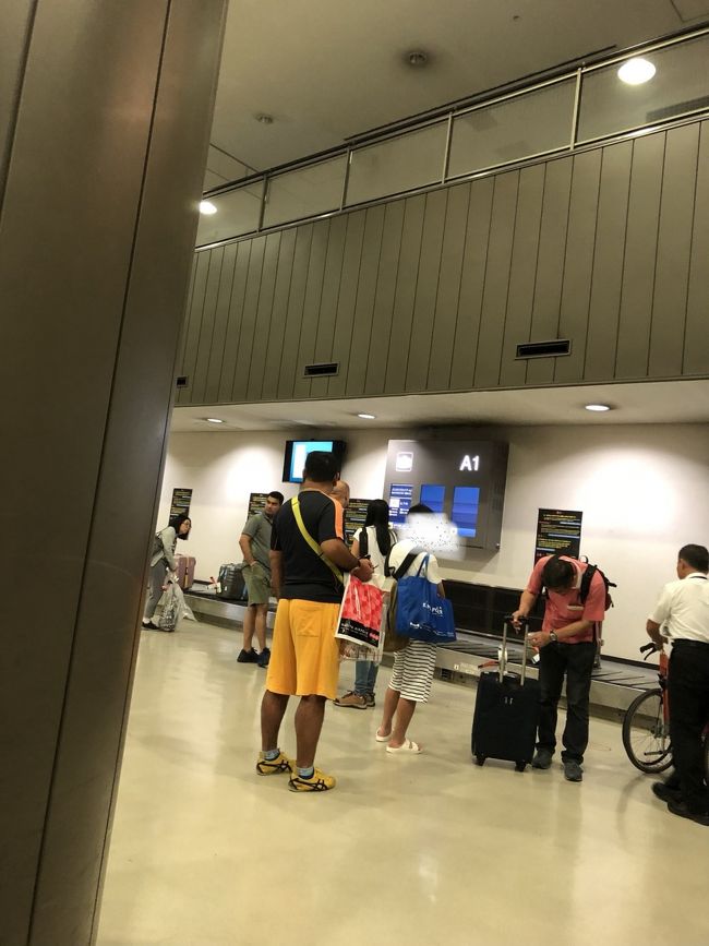 行きは羽田、帰りは成田。ディズニーランドに近い我が家。ディズニーリゾート行きリムジンバスで帰路に。昼前には自宅に着きのんびりできました。