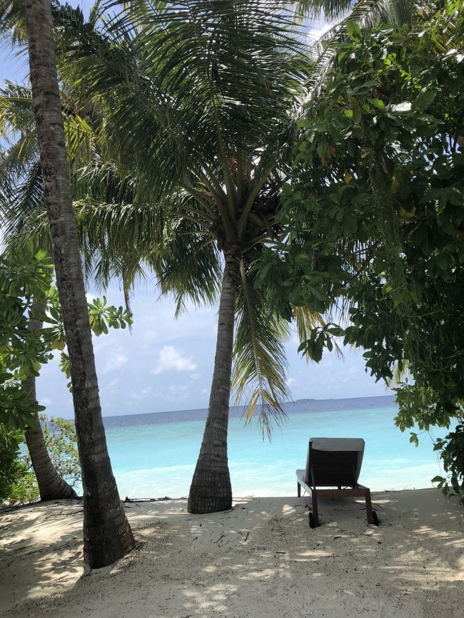 久しぶりのモルディブ、天候にも恵まれ、選んだホテルも大当たり。大満足でした\(//∇//)\<br />頑張って働いて来年もモルディブかな！タイやインドネシアのアジアリゾートも気になるし、やっぱ沖縄離島もはずせない…悩む時間も楽しいな<br />家族が皆元気で旅行に行ける幸せに感謝！<br />