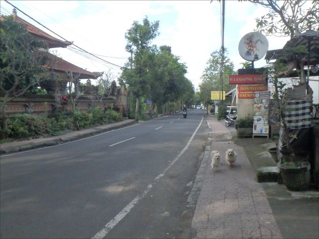 その寺院の<br /><br />通りを隔てた向かいあたりに「LEGONG BALI DOMITORY」というバックパッカー宿（オレンジ色の看板のところ）があって、<br /><br />その手前、つまり、<br />いま２匹の犬が全速力で（こわい！）私の元へ走ってくるあたりに、