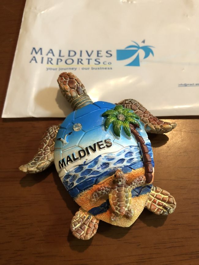 可愛いカメのマグネット