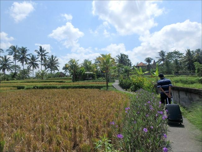 スタッフさん、重たい荷物を引かせてすみませ～～ん・・(^o^;<br /><br />なんか、辛そうな背中を見てると可哀相になっちゃうわ。あとでチップを渡そう。(^_^;