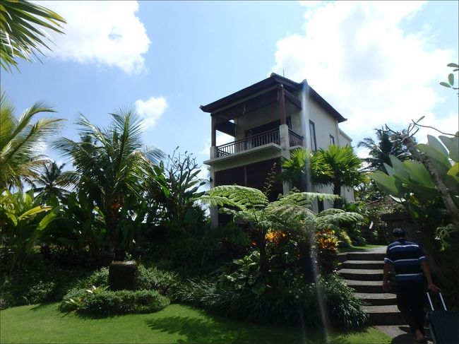 おぉぉ～、これは<br /><br />素晴らしい！<br /><br />期待どおり、いやそれ以上ですね！<br /><br />素敵～～！！(^▽^)