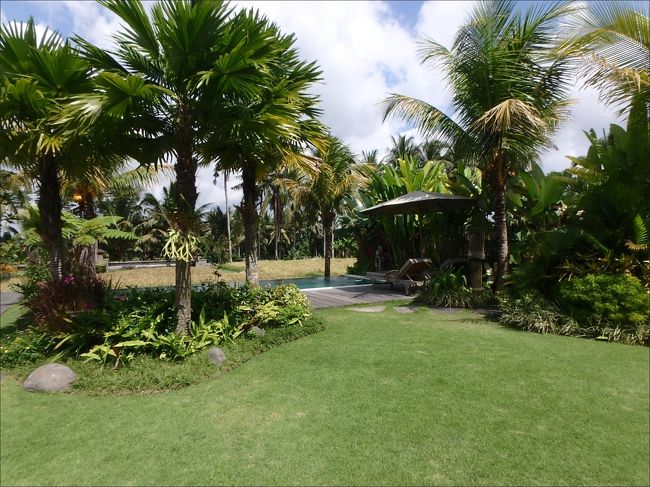 ヴィラの前のこの美しいガーデンにある