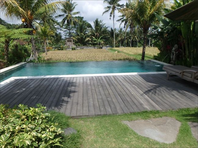 ライスパディビューの<br /><br />このインフィニティプールを貸し切りにするためです！(≧▽≦)