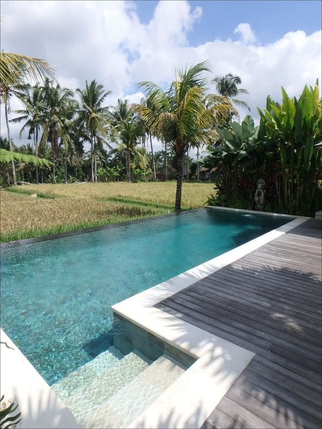 キャ～～～！！(≧▽≦)<br /><br />めーっちゃきれいなプール！(^▽^)<br /><br />期待どおり！最高です！<br /><br />いますぐドボン！と飛び込みたいところですが、