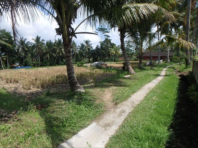 このような道を、ただひたすらに<br /><br />約５分ほど歩いていくと・・