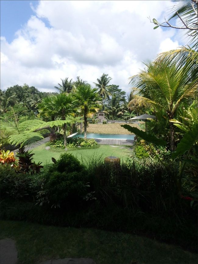 この Superb View !<br /><br />いや～、もはや何も言うことはないですね・・圧巻ですもう (≧人≦)