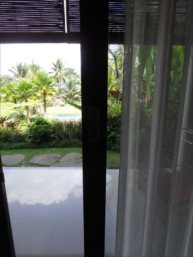 そして、１階のお部屋のテラスの前からは・・