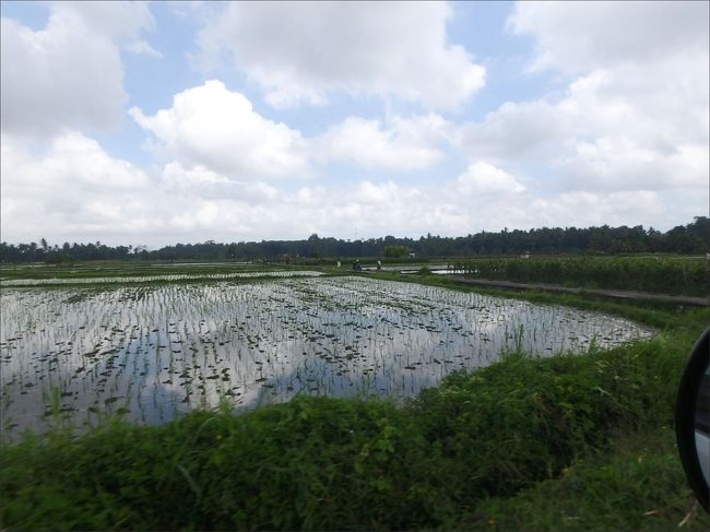いい景色だなぁ (^▽^)