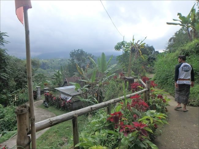 お店の方に案内されて、どんどん奥に進みます。<br /><br />おぉ、なんかすごそう！