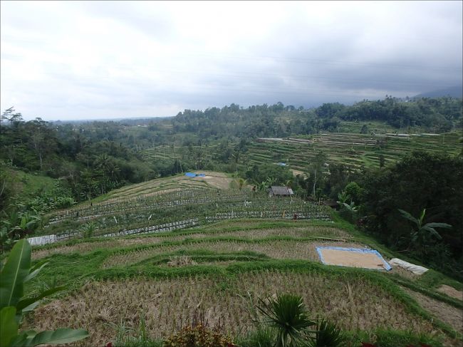 まだここはジャティルイの手前ですけれど、<br /><br />もうすでに、ここだけで満足してしまいそう・・(^▽^;