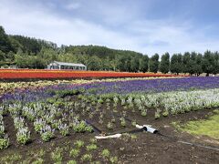 ラベンダーの季節は終わってしまったけれど
きれいにお手入れされていて美しい。

心が潤う瞬間。
たっぷり深呼吸。