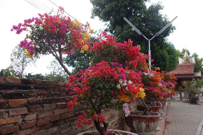 それから、アユタヤの遺跡を回ります。