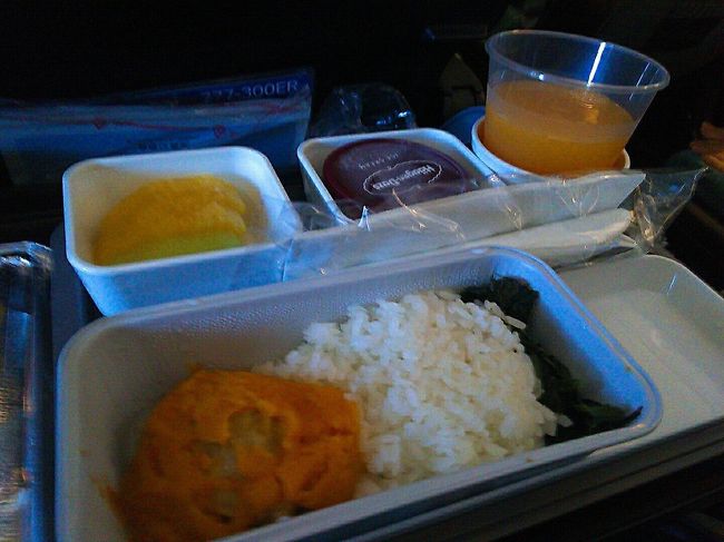 私はビーフをチョイス(写真なし)して、わりと普通においしかったんですが、Sちゃんがチョイスしたチキンはかなり謎めいていました 笑<br /><br />味のないほうれん草のようなものにご飯、そしてメインのチキンもあまり味がなく、チキンの上にはなぜかカボチャペーストが……<br /><br />私はビーフにしてよかったです◎笑