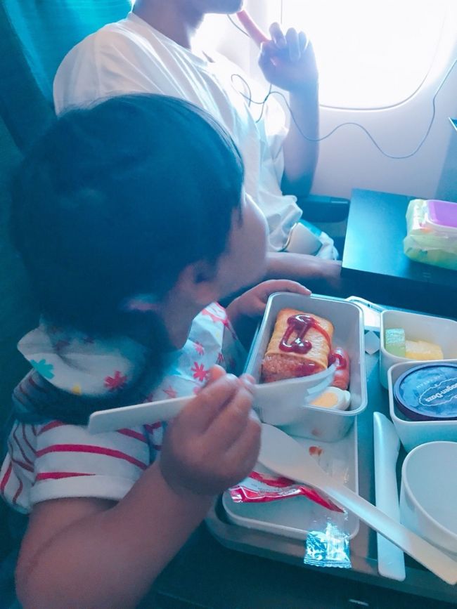 しかしながらあまりお口に合わないようでした(´・c_・`)