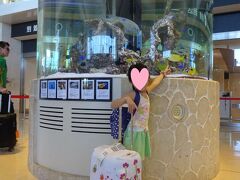 結局3時間遅れて石垣島空港に到着。空港では熱帯魚が出迎えてくれました。