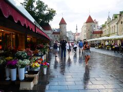 続いて、ヴィル門までやってきました。いきなりメルヘンな雰囲気。ここが旧市街の入り口です。

観光は基本徒歩でOKです。私達がタリンで公共交通機関を利用したのは空港から市内のみでした。