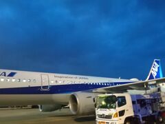 はい羽田。バスゲートだし、色々大丈夫かと想ったが5分でトランジットエリアに出られた。