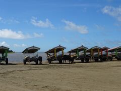 わ~~！これです！これこれ！これが見たかったんです！