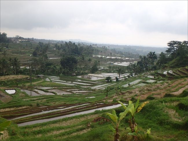 15:00<br /><br />ジャティルイ ライステラスに到着です。