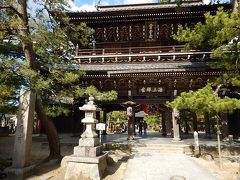 金剛院から約40km、天橋立の隣にある智恩寺。
こちらは日本三大文殊のひとつとされており、境内には参拝者が多かった。
本堂内で御朱印をいただいた。