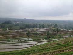 ジャティルウィ ライス テラス