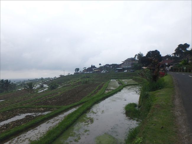 チケットを買って入ります。15Kでした。