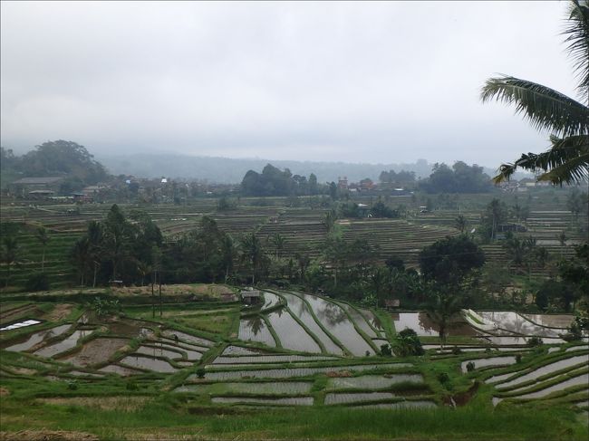 ヒンドゥー教の哲学に基づいたバリ島独自の「スバック」と呼ばれる水利システム（組合）により、1000年以上も前から、山に沿って棚田が開墾され、現在のような美しい壮大な景観が形作られてきたのだそうです。<br /><br />スバックと世界遺産登録経緯について<br />⇒　https://ja.wikipedia.org/wiki/バリ州の文化的景観