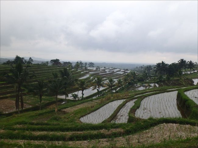 私のアタマでは難しいことは理解できませんが<br /><br />この棚田ひとつひとつにも<br /><br />壮大な宇宙観が刻まれていることだけは、間違いありません。