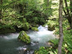 奥入瀬渓流散策路
阿修羅の流れ 