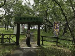 原生花園 あやめヶ原 