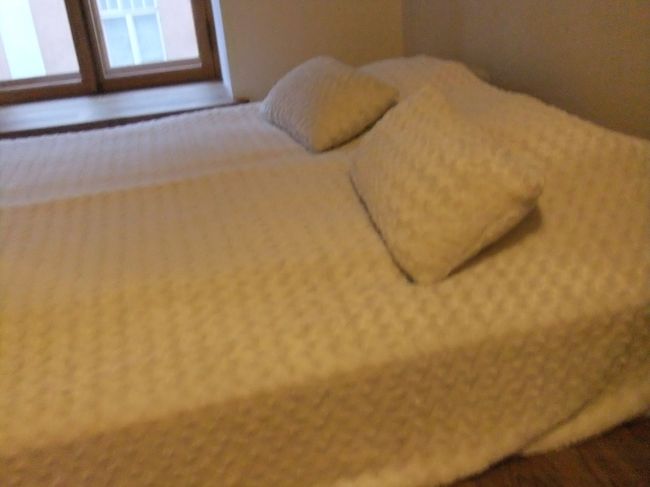 ソファーベッドとこのベッドと余分にマットレス<br />お風呂に入ってもう寝ることにした<br />１７時ぐらいに食べたし…もう気力ない<br /><br />この日はリトアニアでもエストニアでも上手くいかない日だった<br />そういう日はさっさと寝るに限る<br /><br />画像は着いてすぐ次女が撮った写真だから明るいけど<br />お風呂入り終わって寝る頃には２３時で真っ暗<br />そこから洗濯と扇風機で乾燥セットなので<br />やっぱり寝たのは１時過ぎ<br /><br />しんどいけどでもヘルシンキの宿はフロント常駐してるし<br />ロヴァニエミは空港送迎頼んでてサンタ村のホテルでゆったりプランだし<br />ここさえ乗り切れば後は楽だ！！<br />そうやって自分を奮い起たせるツアコン兼通訳兼ママ業のオーバーワークの私