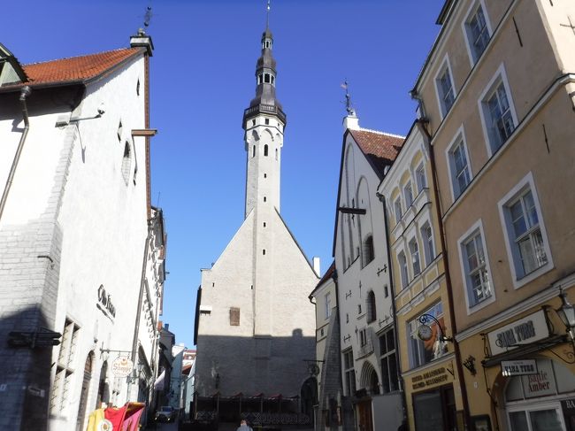 とりあえず展望台を目指して散策