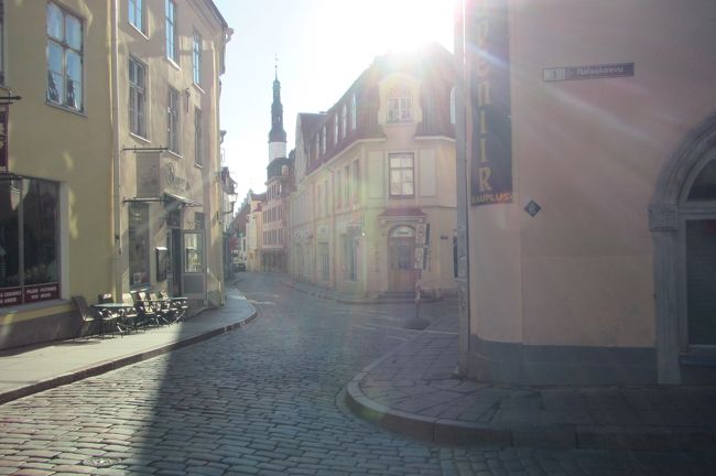 朝日を浴びつつ「長い足通り」を目指す<br />展望台に通じる道がそこしかなさそうなんだよね<br />車だったら下から伸びてる道もあるけど<br />徒歩の旅行客には「長い足通り」一択だと思う